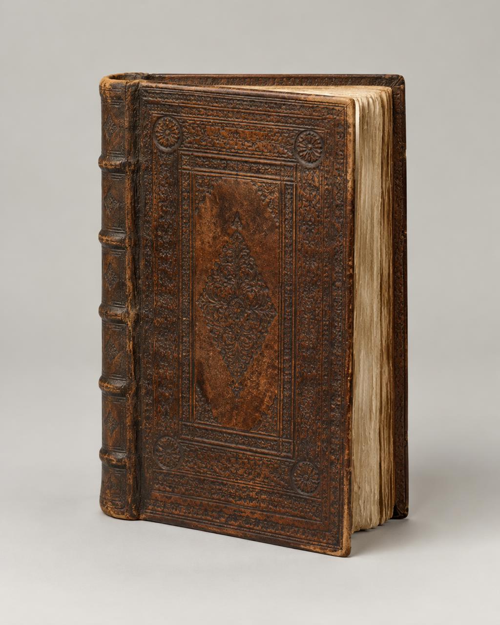 Historia Indiae Occidentalis